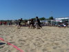 thumb_100_5818.jpg